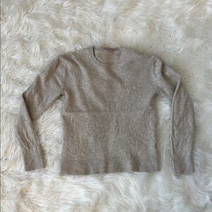 Everlane Crew Neck Cashmere Sweater
